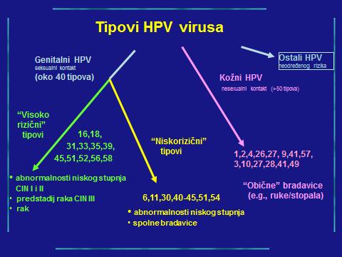 hpv sta je to