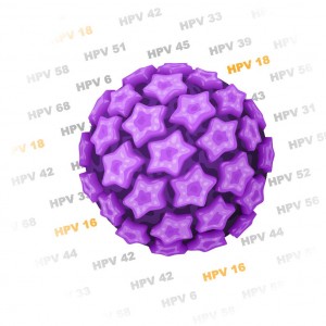 HPV infekcija