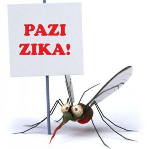 Zika virusna infekcija