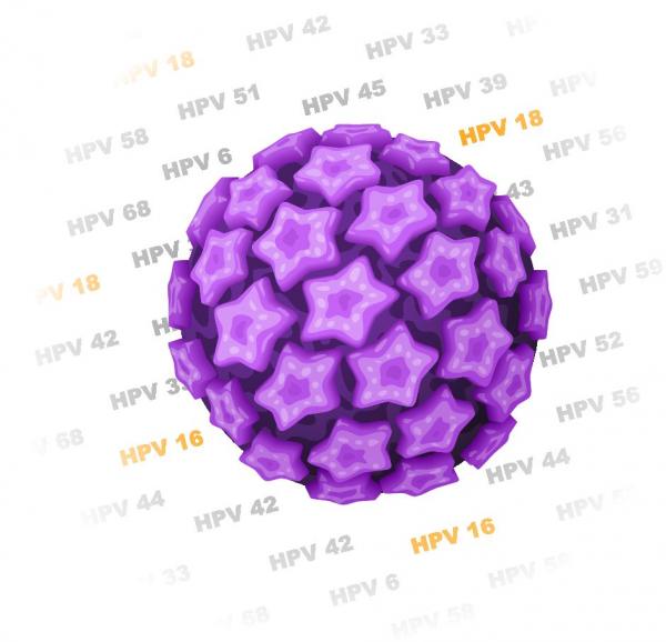 humani papiloma virus tip 16)